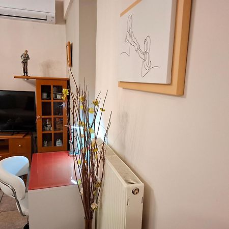 Ferienwohnung Απέριττον 2 Tríkala Exterior foto